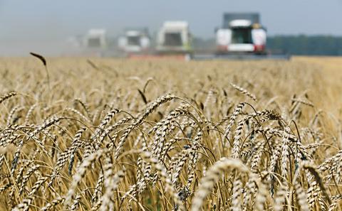 Урожай-2018: Аграрії зібрали майже 63 млн тонн зерна Рис.1