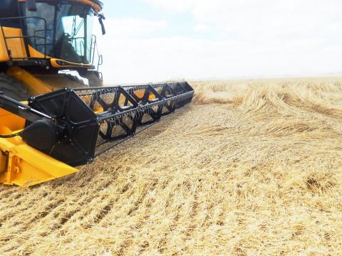 Урожай-2018: Аграрії зібрали понад 43 млн тонн зерна Рис.1