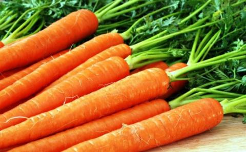 В Україні різко здешевшала морква Рис.1