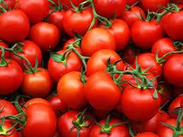 Вчені створили помідори з підвищеними антиоксидантними властивостями Рис.1