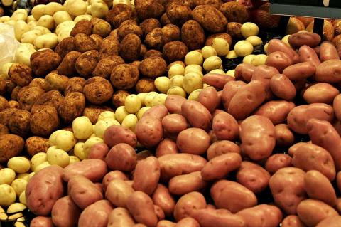 Як відібрати та підготовувати насіннєвий матеріал картоплі - поради від Держпродслужби Рис.1
