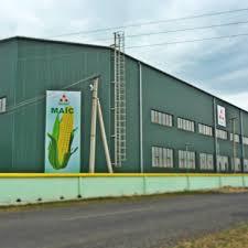 Компанія МАЇС презентувала оновлену лінійку гібридів кукурудзи під час семінару на Черкащині Рис.1